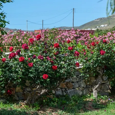 Golden Glyfada * Kastrákion