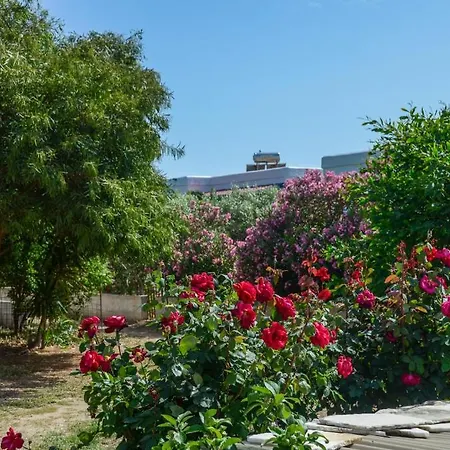 Golden Glyfada Apartment Kastraki (Naxos)
