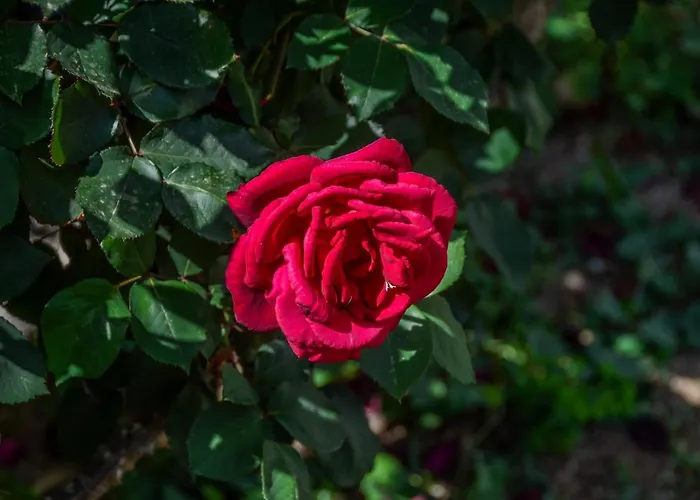 Διαμέρισμα Golden Glyfada Kastrákion